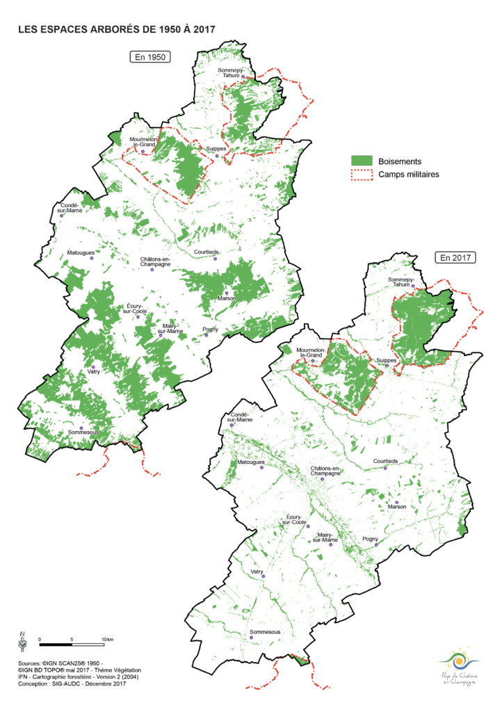 Les espaces arborés de 1950 à 2017