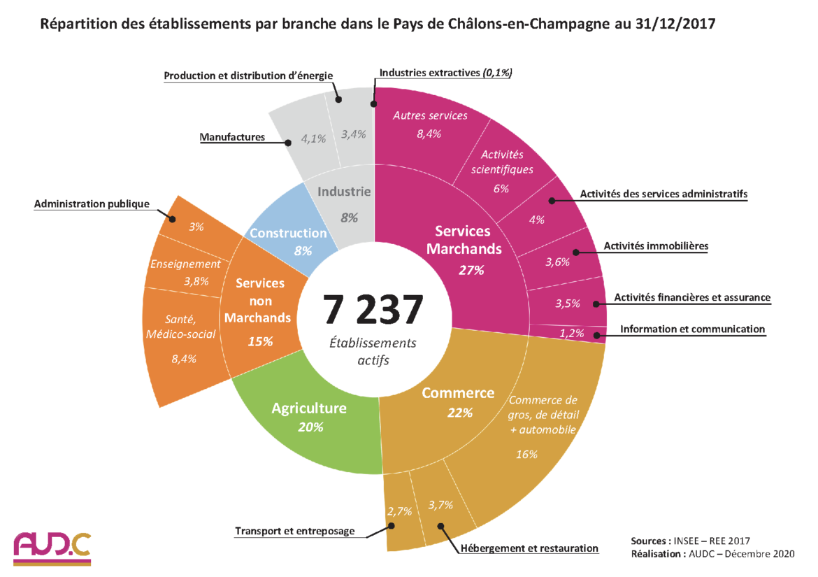 Répartition des établissements par branche dans le pays de Châlons-en-Champagne au 31/12/2017